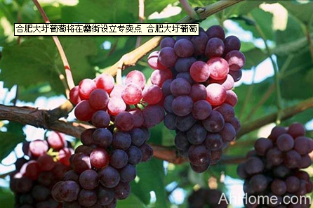 开云电子·kaiyun(中国游)官方网站