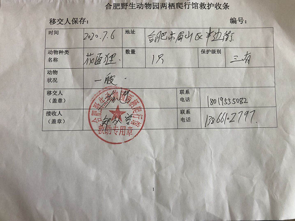 开云电子·kaiyun(中国游)官方网站